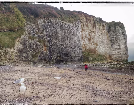51 Étretat plage de Vaucottes