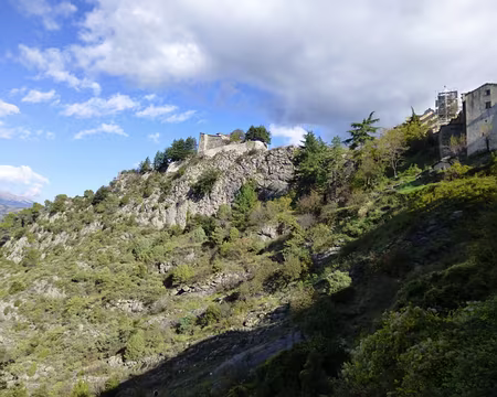 P1020984 Montée par le chemin muletier à Piène-Haute