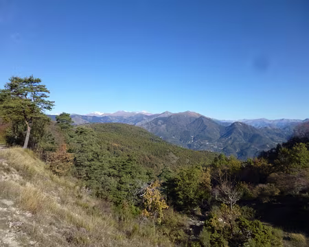 P1030017 Vue côté montagnes...