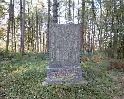 P1020854 Monument du Général Mangin (1866-1925) situé au coeur de la Forêt de Retz, où il dirigea l'attaque alliée du 18 juillet 1918.