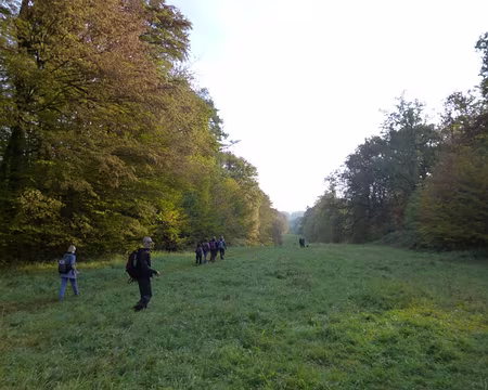 P1020860 L'Allée Royale fut créée par Monsieur, le frère de Louis XIV.