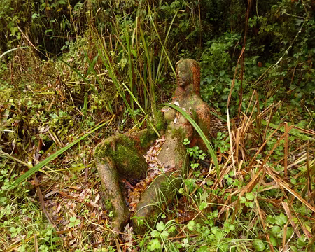 P1020870 Source de l'Yvette, Lévis Saint-Nom