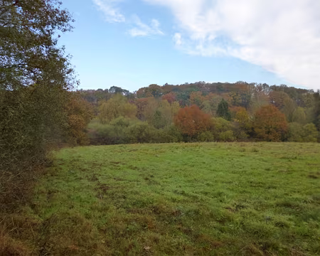 P1020871 Vallée de l'Yvette