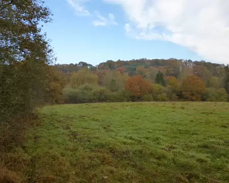 P1020871 Vallée de l'Yvette