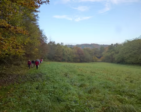 P1020872 Vallée de l'Yvette