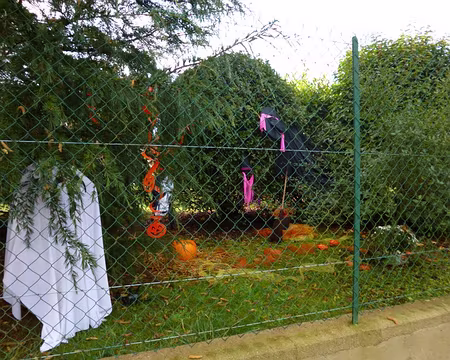 P1020875 C'était Halloween, il y a peu.