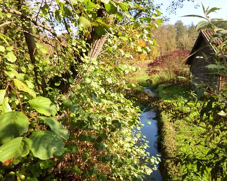 P1020882 L'Yvette à Lévis-Saint-Nom
