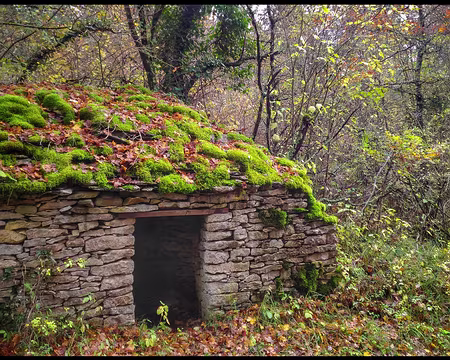 P_20161111_133324-01