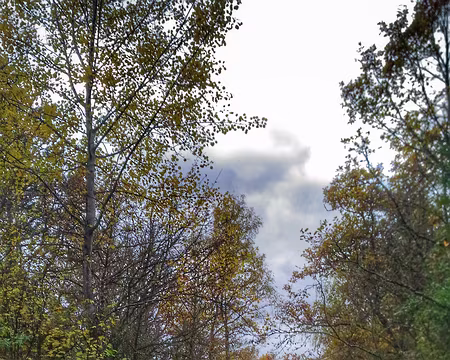 P_20161111_133340-01