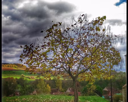 P_20161111_144357-01