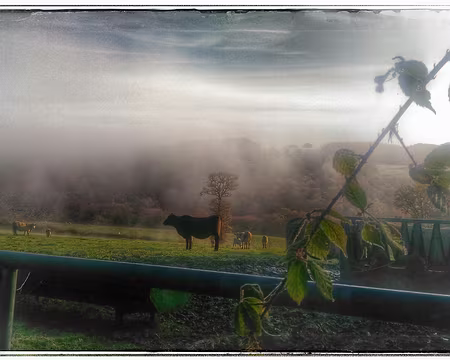 P_20161112_093527-01-01