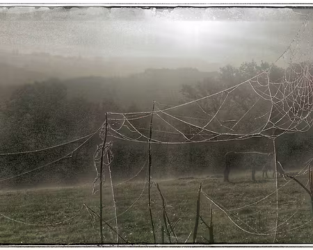 P_20161112_093639-01-01