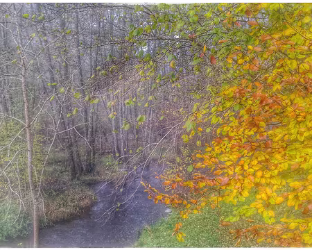 P_20161112_100705-02