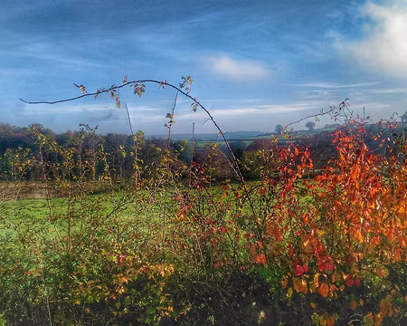 P_20161112_105426-01-01