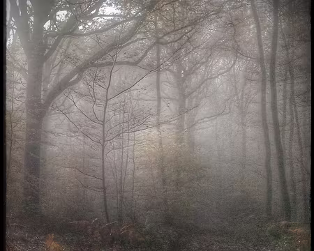 P_20161112_111120-02