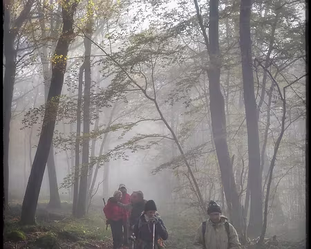 P_20161112_111801-02