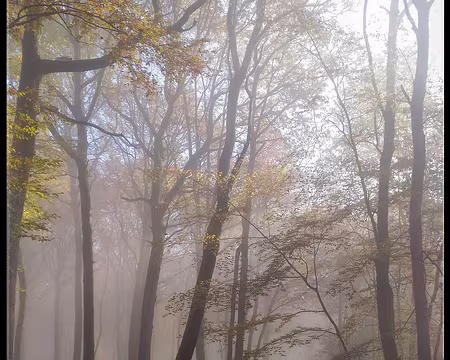 P_20161112_111804-01