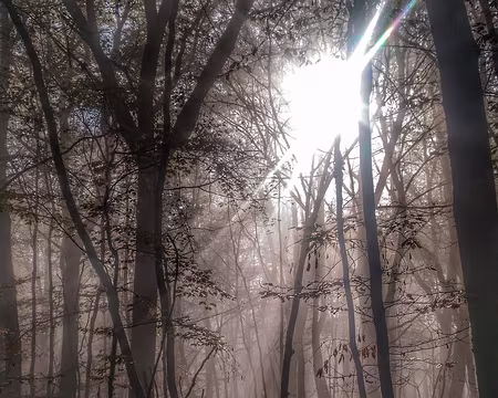 P_20161112_111908-01