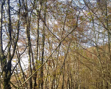 P_20161112_134957-01