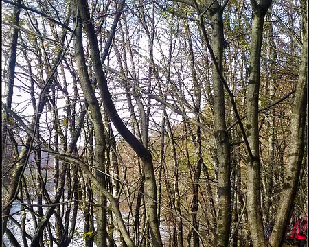 P_20161112_135009-01