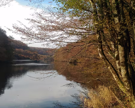 P_20161112_135047-01