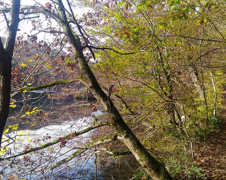 P_20161112_135137-01