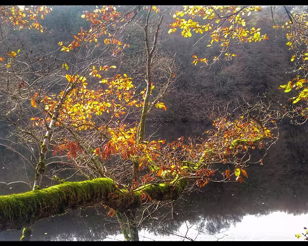 P_20161112_135209-01