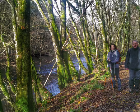 P_20161112_140710-01-01