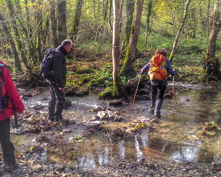 P_20161112_141107-01