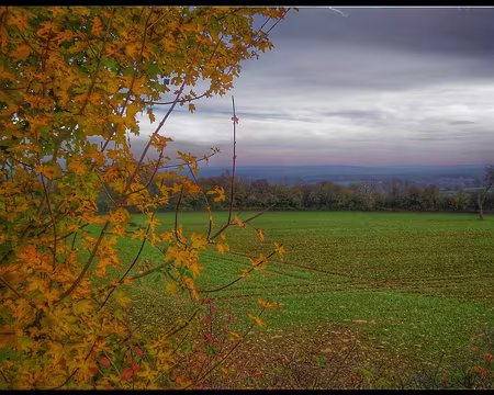 P_20161112_152740-01-01