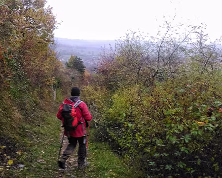 P_20161113_084407-01