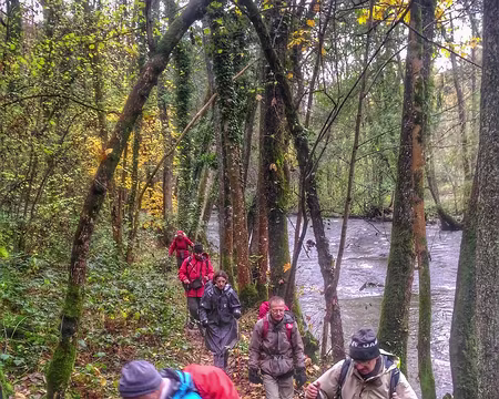 P_20161113_134026-01