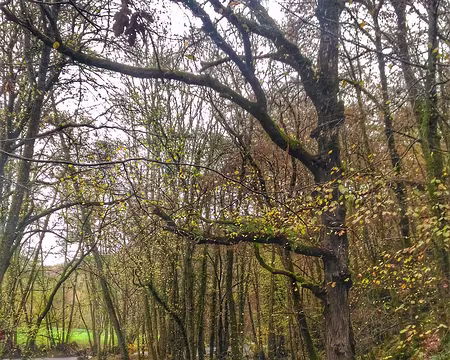 P_20161113_141628-01