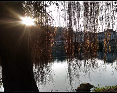 02 Brie 12 16-01 La Marne