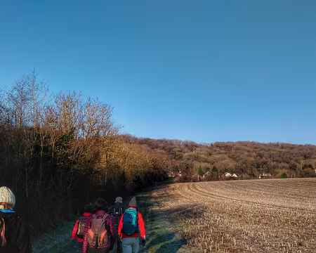 03 Brie 12 16-01 Chamigny