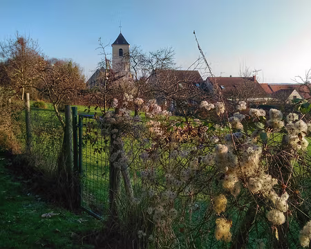 05 Chamigny Brie 12 16-01 Chamigny