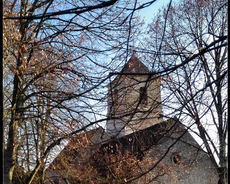 06 Chamigny Brie 12 16-01 Chamigny