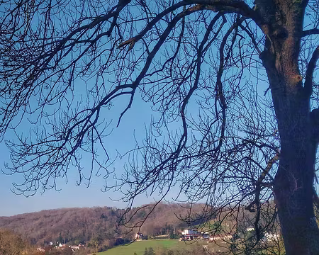 10 Ste Aulde Brie 12 16-01 vallée de la Marne.