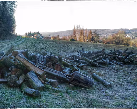 11 Ste Aulde Brie 12 16-01 Givre