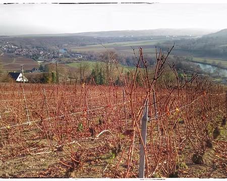 12 Crouttes Brie 12 16-01 Crouttes