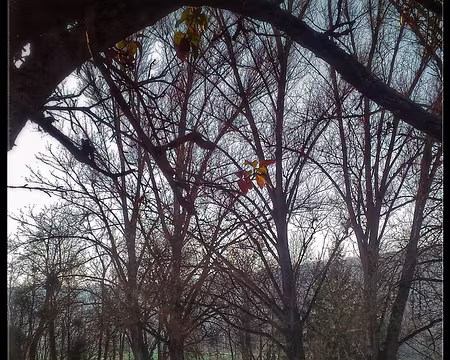 16 Nanteuil Brie 12 16-01 Vers Méry sur Marne.