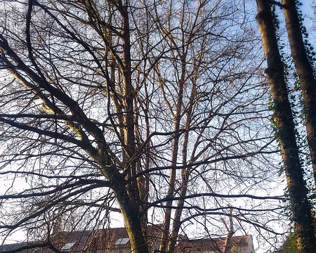 19 Luzancy -01 Luzancy