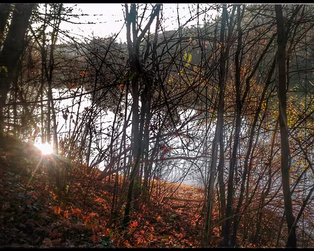 22 La Ferté sous Jouarre Brie 12 16-01 retour à La Ferté sous Jouarre.
