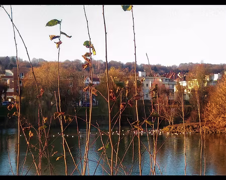 23 La Ferté sous Jouarre 12 16-01 La Ferté sous Jouarre