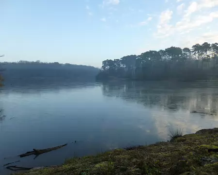 P1030221 L'étang d'Or