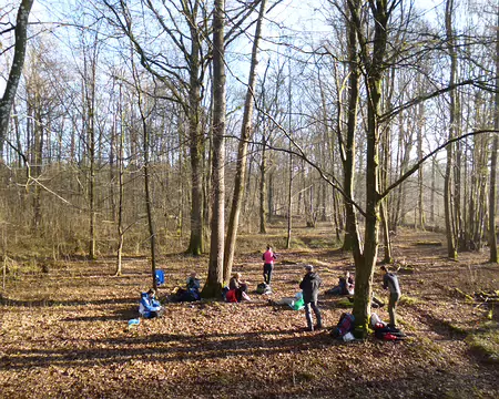 P1030225 pique-nique