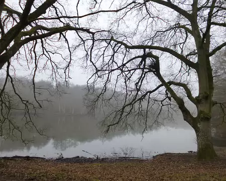 P1030234 L'étang de Cernay