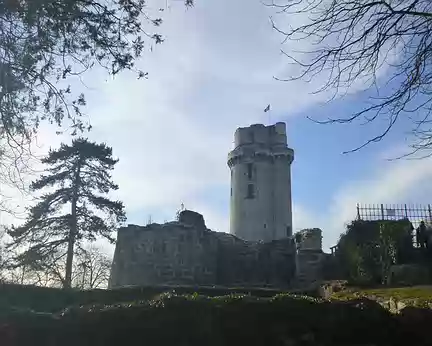 P1030442 Ruines du château de Montlhéry et la Tour