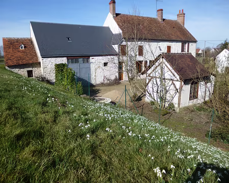 P1030785 Talus parsemé de perce-neige.