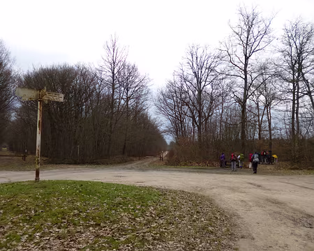 P1030807 Forêt d'Orléans, la plus grande forêt domaniale de France (1848). Elle couvre 35 000 ha et est composée de chênes et pins sylvestres.